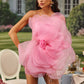 Nydia Mesh Blume Mini Tube Kleid-Rosa