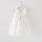 Princess Butterfly Fairy Wings Tulle Dress